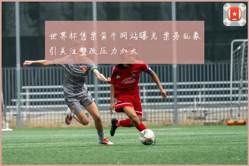 世界杯售票黄牛网站曝光 票务乱象引关注整改压力加大