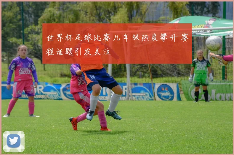世界杯足球比赛几年级热度攀升 赛程话题引发关注