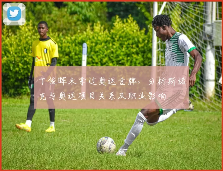 丁俊晖未拿过奥运金牌，分析斯诺克与奥运项目关系及职业影响